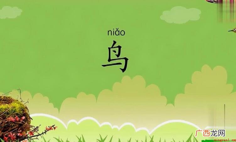 《鸟》的原文和翻译是什么
