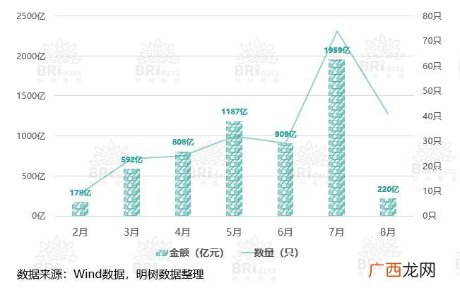 专项债是什么意思,专项债务余额什么意思？