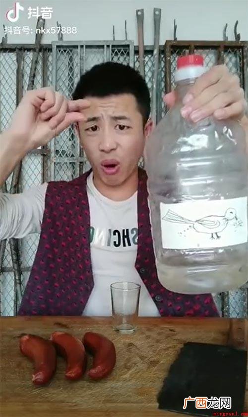 小鸟伏特加是什么 意思？