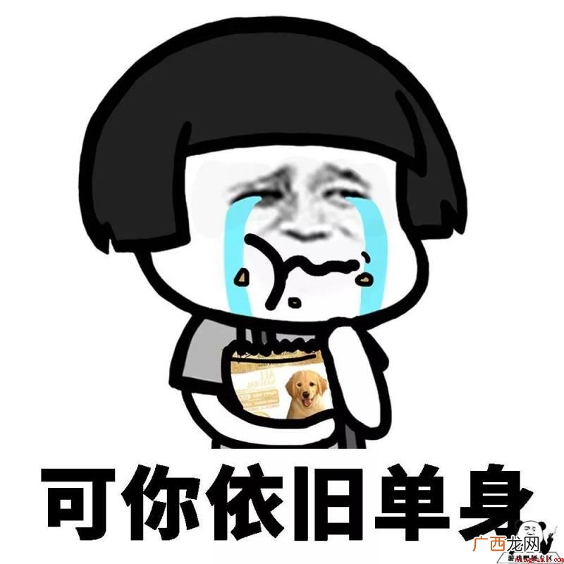自闭式单身什么梗 单身的理由是什么 自闭式单身是什么意思