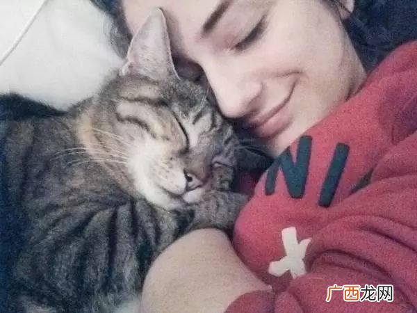 养猫的好处和坏处,大猫有什么好处和坏处？