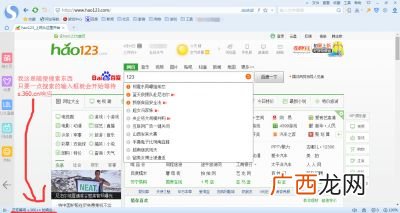 流氓软件是什么意思,流氓软件是什么意思？
