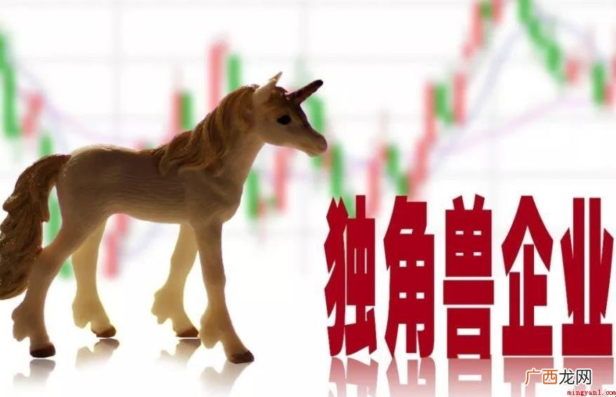 独角兽企业什么意思 有哪些意思 独角兽企业什么意思