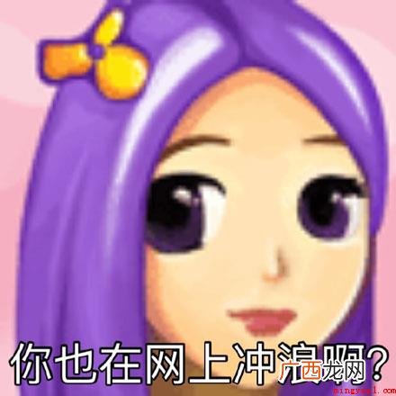 网上冲浪