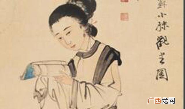 苏东坡的妻子简介,苏轼第一任妻子？