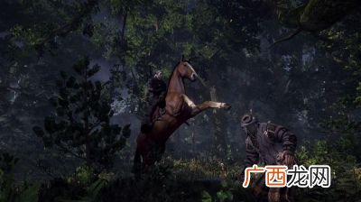 巫师3雷索在哪,巫师3狂猎森林精灵奖杯达成方法攻略？