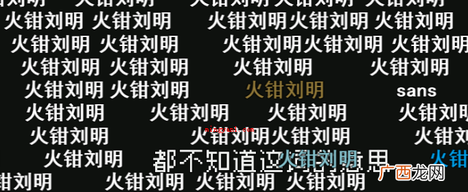 火钳刘明是 火钳刘明是什么梗？是什么意思