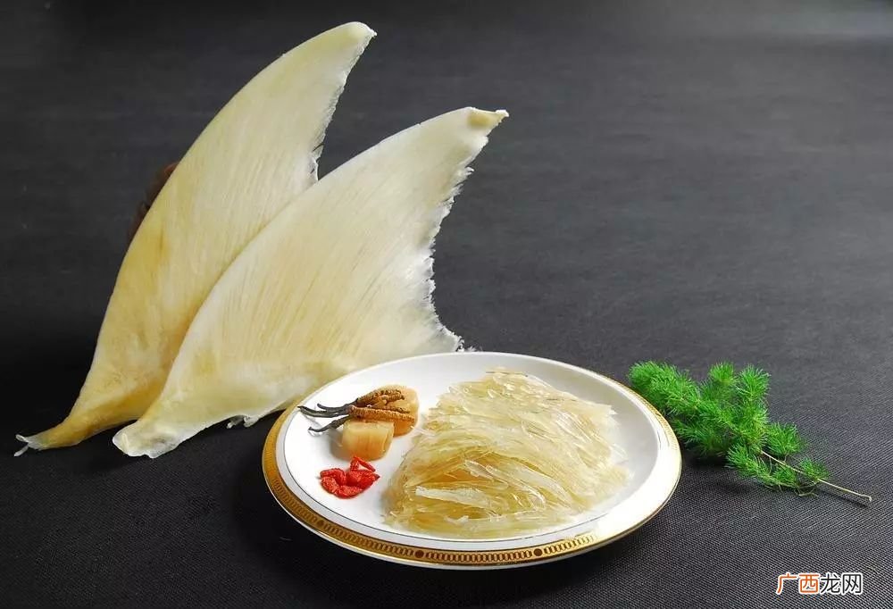 鱼翅有什么功效,最好的鱼翅是什么鱼的？