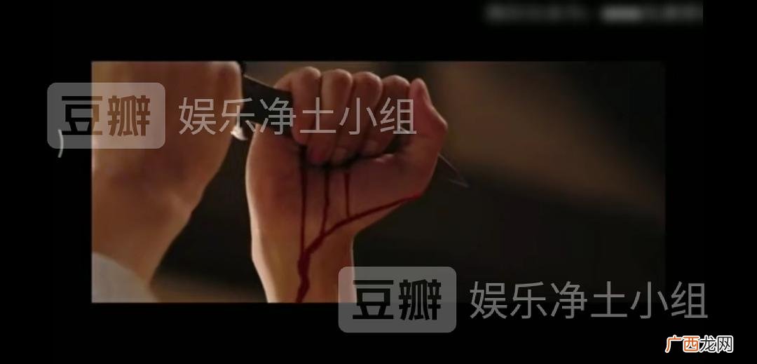 鲛绡碧是什么,李师师人物性格特点?