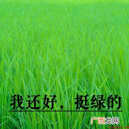 我想开了