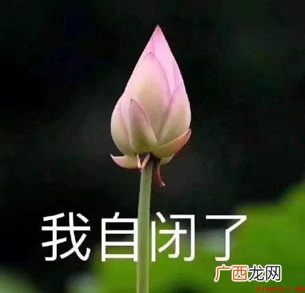 我想开了