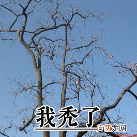 我想开了