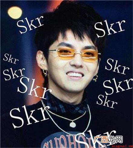 skr怎么读法介绍 skr怎么读法介绍是什么意思