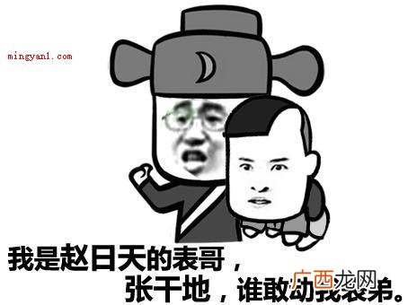 赵日天,网络虚拟人物。 赵日天是什么梗