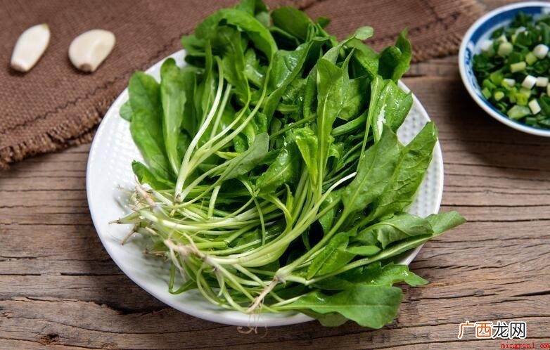 荠菜作用有什么?荠菜也可以降血压 荠菜功效有哪些