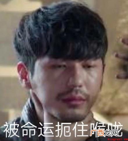bygg梗意思、出处、含义、介绍 bygg梗意思、出处、含义、介绍是什么意思