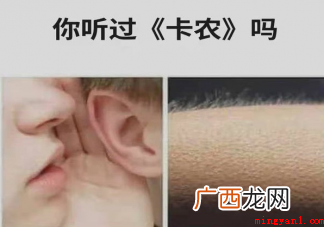 卡农警告是什么意思什么梗即死亡警告,和一起爬山吗 卡农警告是什么意思