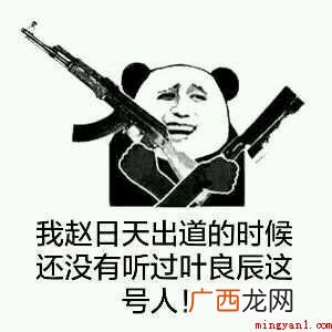 网络红人叶良辰火了之后一个同样什么的人物 赵日天是什么梗