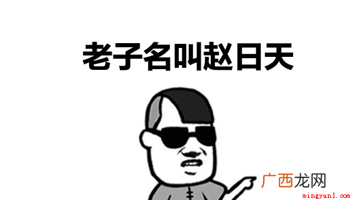 网络红人叶良辰火了之后一个同样什么的人物 赵日天是什么梗