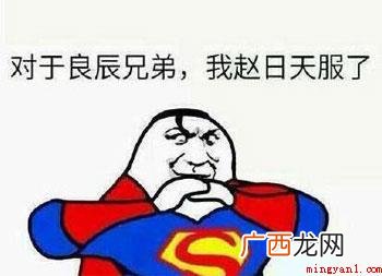 网络红人叶良辰火了之后一个同样什么的人物 赵日天是什么梗
