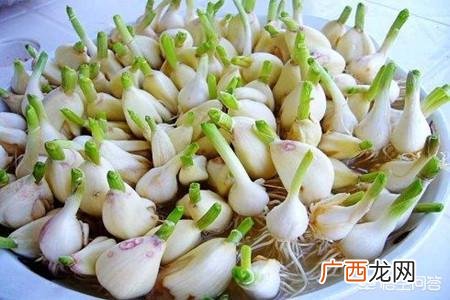 大蒜发芽怎么办,发芽的大蒜怎么办？