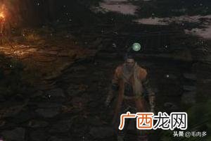 七面武士在哪,只狼，地牢，投身之所，七面武士，位置？