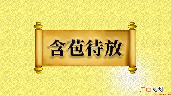 含苞待放怎么理解