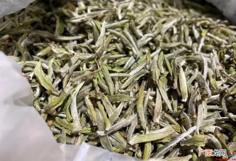 福建白茶归属于什么茶? 福建白茶属于什么茶