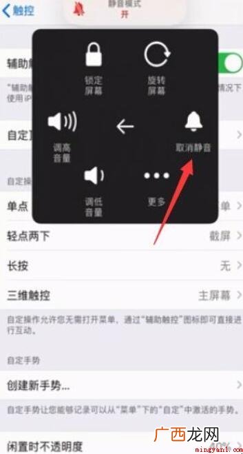 苹果手机怎么设置静音? 苹果手机怎么设置静音