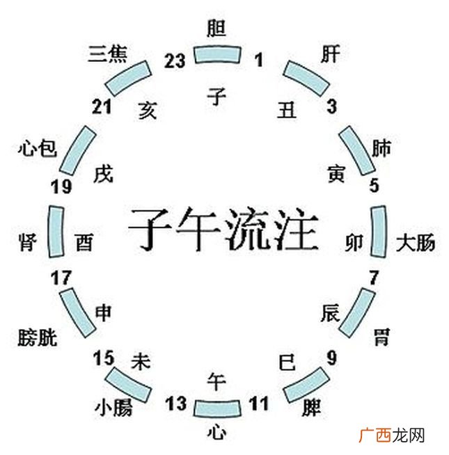 子午是什么时间,请问子午是什么？