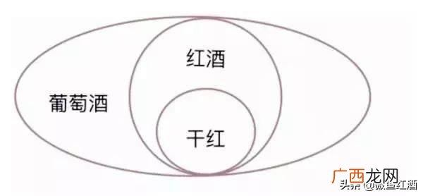葡萄酒和干葡萄酒有什么区别,红酒和葡萄酒有什么分别?