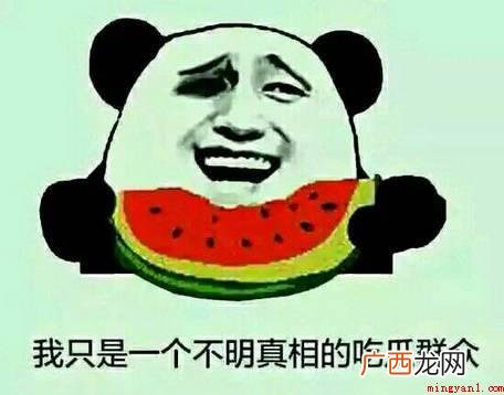 ygjg意思、出处、含义介绍 ygjg是什么意思