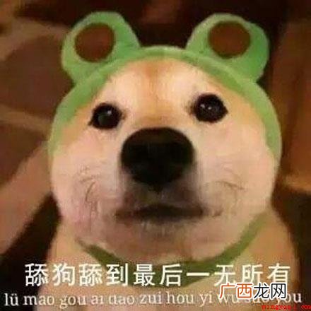 舔狗是什么意思？