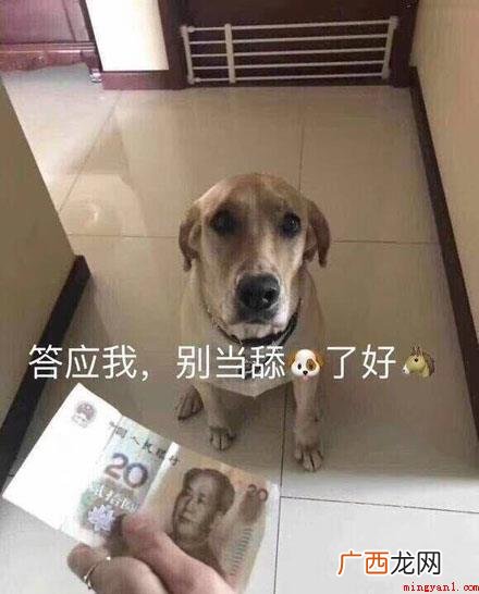 舔狗是什么意思？