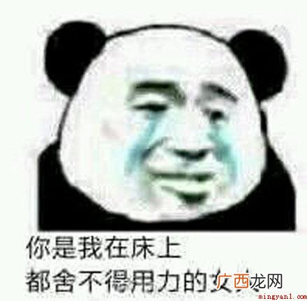 舔狗是什么意思？