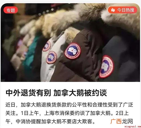 加拿大鹅冬天出门“五步一北面,十步一大鹅” 加拿大鹅是什么意思