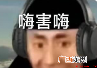 嗨害嗨是什么梗 快手主播/著名美食艺术家岛市老八视频开头固定 嗨害嗨是什么梗
