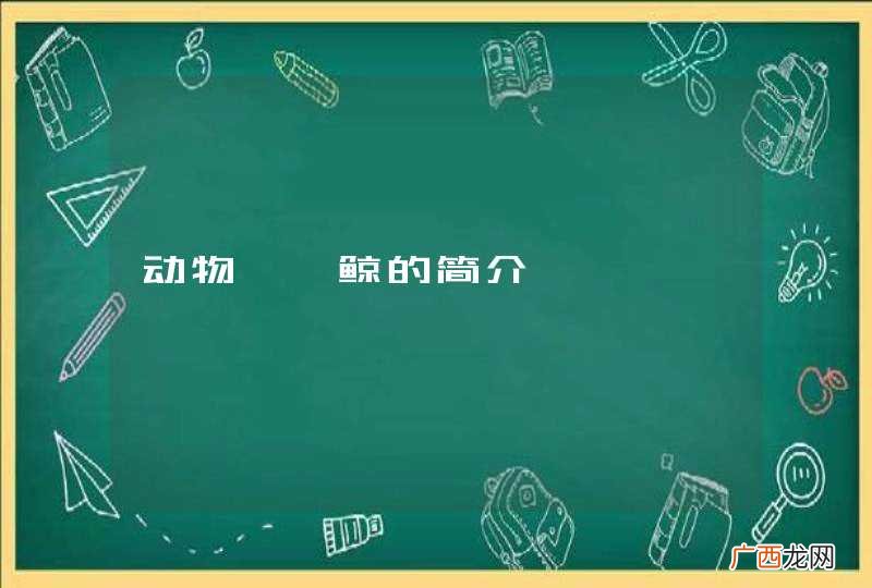 动物——鲸的简介