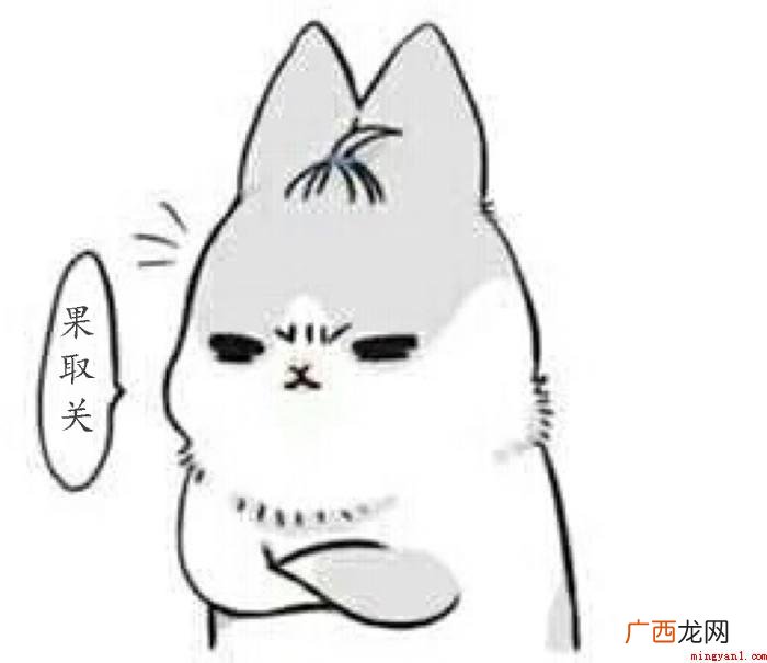 取消关注 取关是什么意思