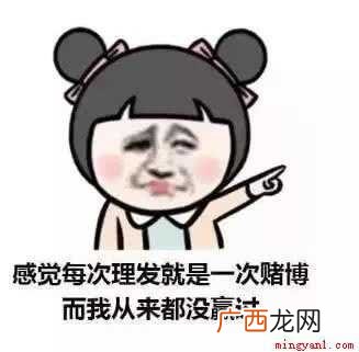 tony老师是什么梗? tony老师什么梗是什么梗