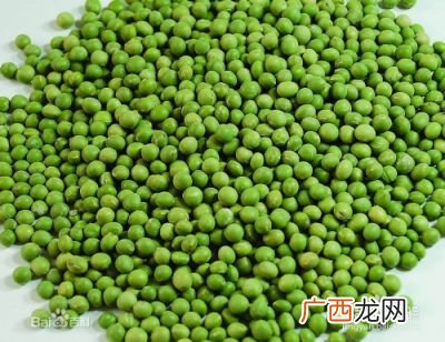 明绿豆和毛绿豆有什么区别,毛绿豆与绿豆区别？