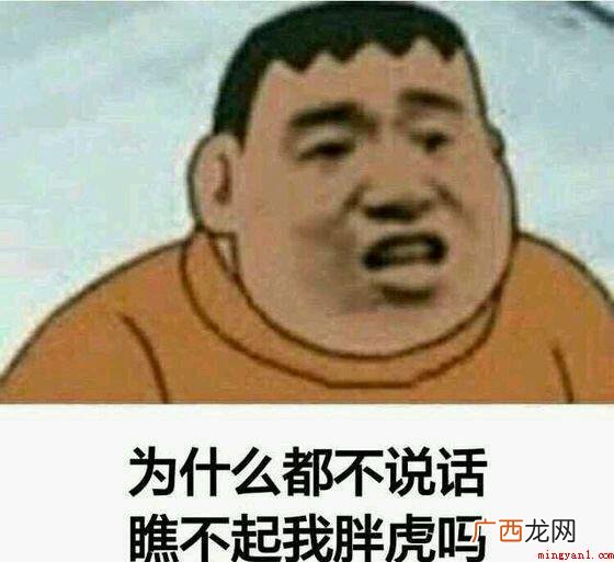 胖虎是什么梗