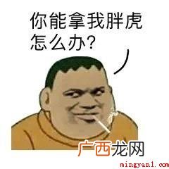 胖虎是什么梗