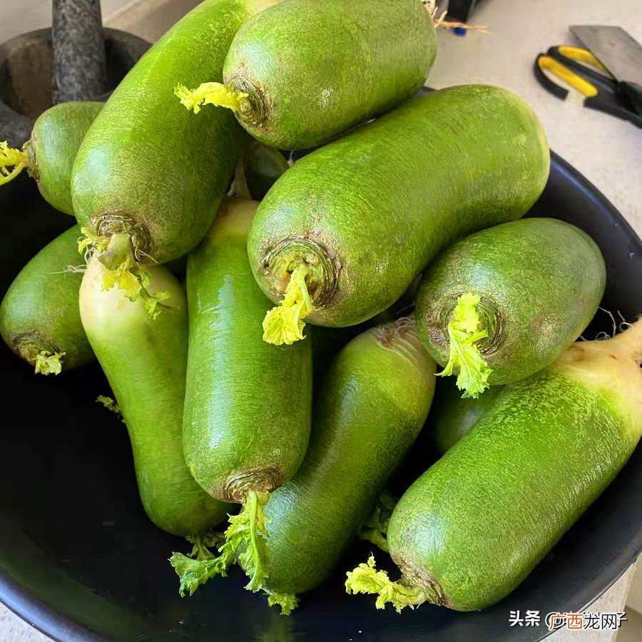 萝卜糠心的原因有哪些 白萝卜空心还能吃吗有危害吗