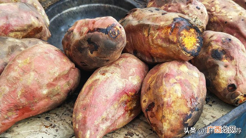 怎么设置温度和时间 烤箱怎么烤红薯