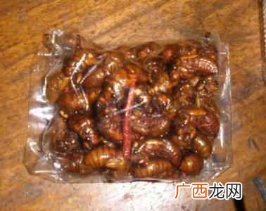 知了猴可以冷冻多久