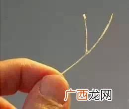 鱼刺有什么用,鱼刺卡住了用什么方法弄出来啊？
