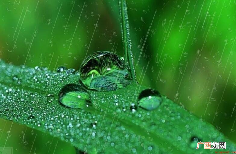 雨一直下的心情说说有什么 雨一直下的心情说说有哪些