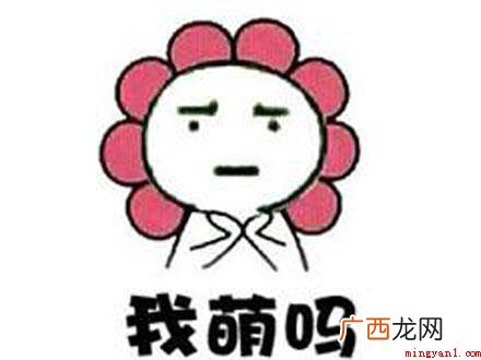 小老虎相关的谐音 小脑斧是什么梗