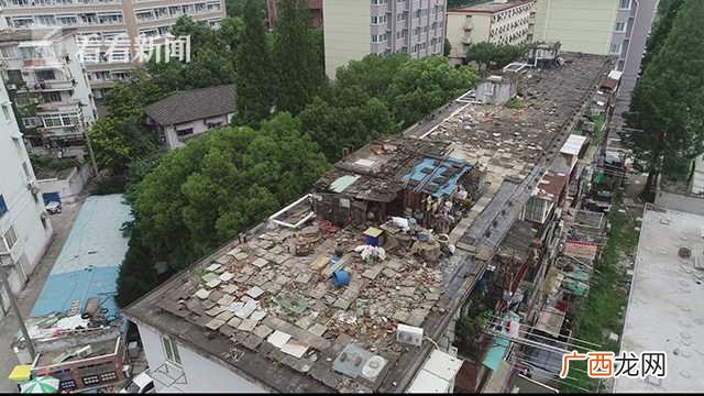 鸽棚怎么搭建合理,搭建鸽棚怎么申请手续？